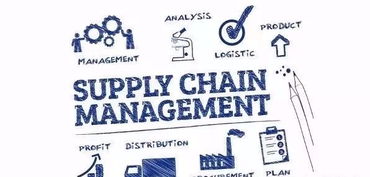 專業咨詢公司中需要精通供應鏈管理的部門