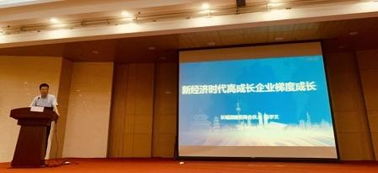 中國企業咨詢業的標桿 長城戰略咨詢引領產業與區域發展新篇章